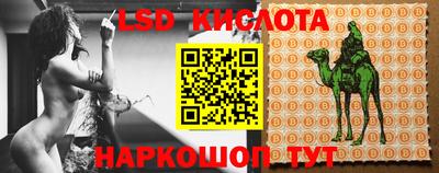 эйфоретик Донской