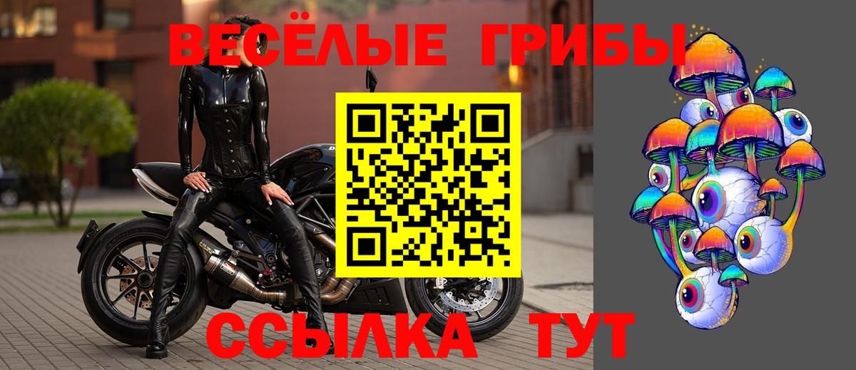 Галлюциногенные грибы Magic Shrooms  Ярцево 